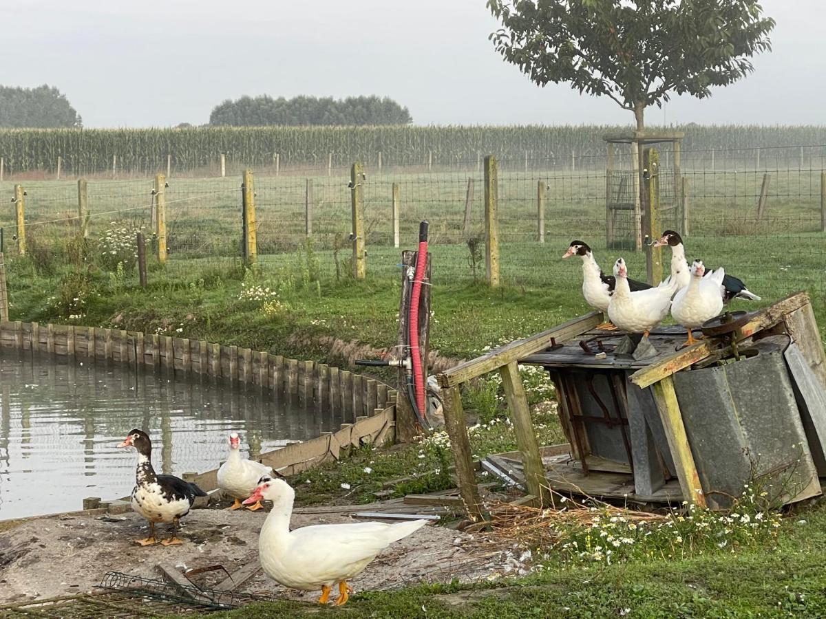 Parel van Bever - Perle de Biévène Extérieur photo