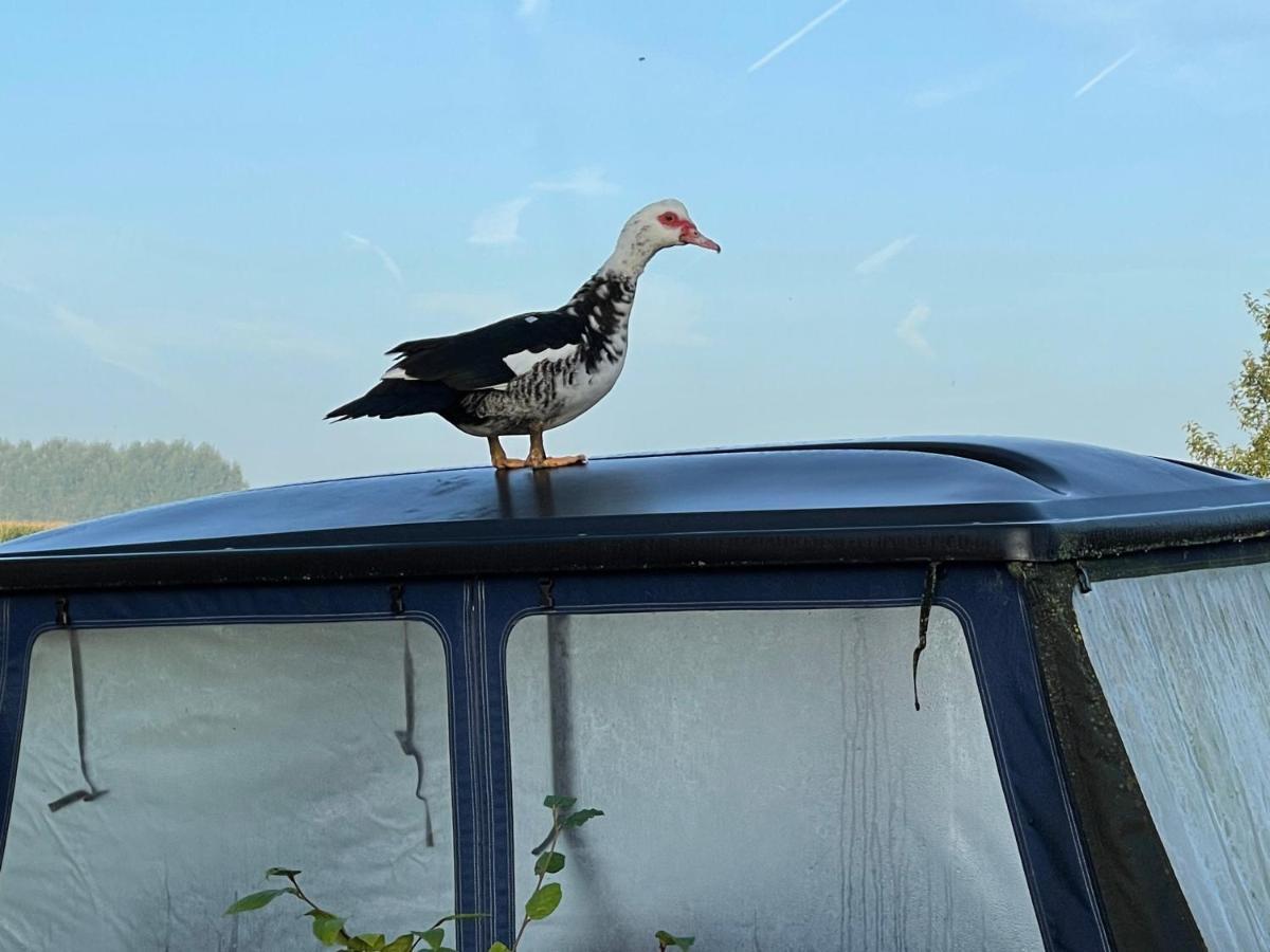Parel van Bever - Perle de Biévène Extérieur photo